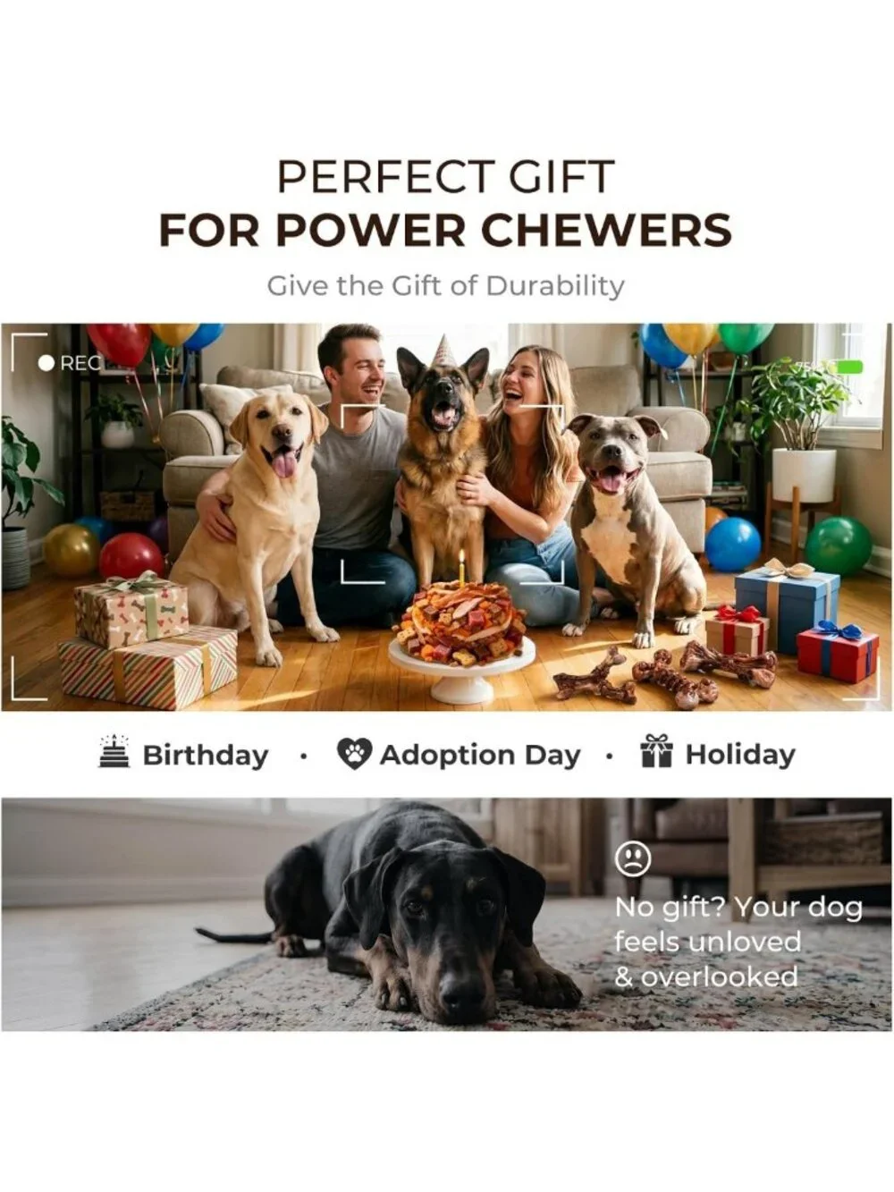 Indestructible Dog Chew Toys - 3-Pack Tough Nylon Bones for Aggressive Chewers